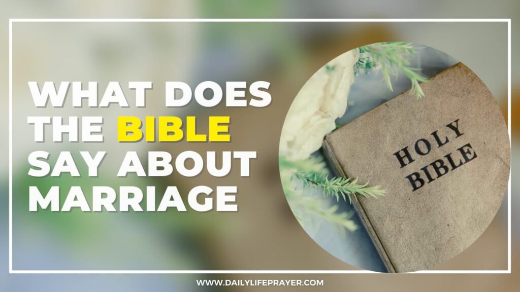 What Does Bible Say About Divorce​